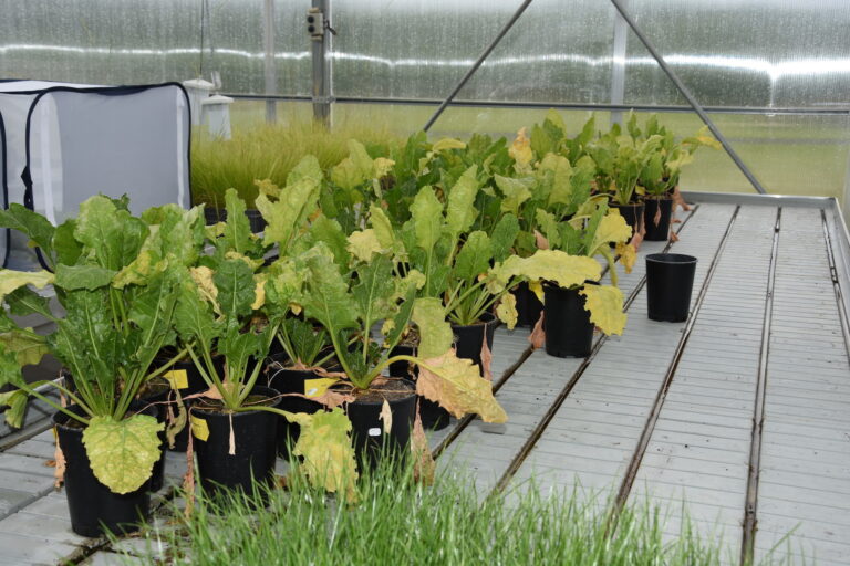 Premier état des lieux du PNRI-C : des freins encore à lever