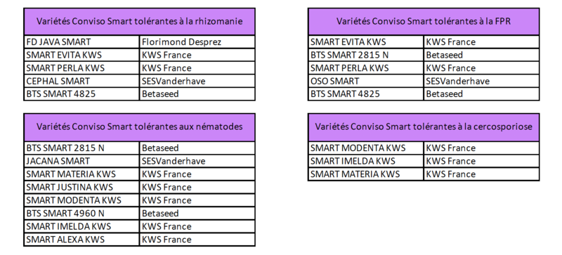 Variétés tolérantes à la rhizomanie et aux nématodes