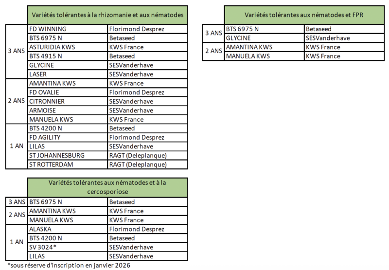 Variétés tolérantes à la rhizomanie et aux nématodes