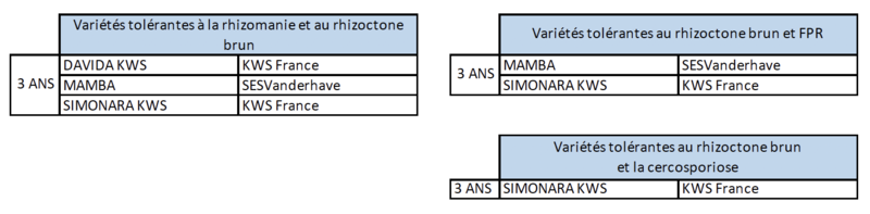 Variétés tolérantes à la rhizomanie et aux nématodes