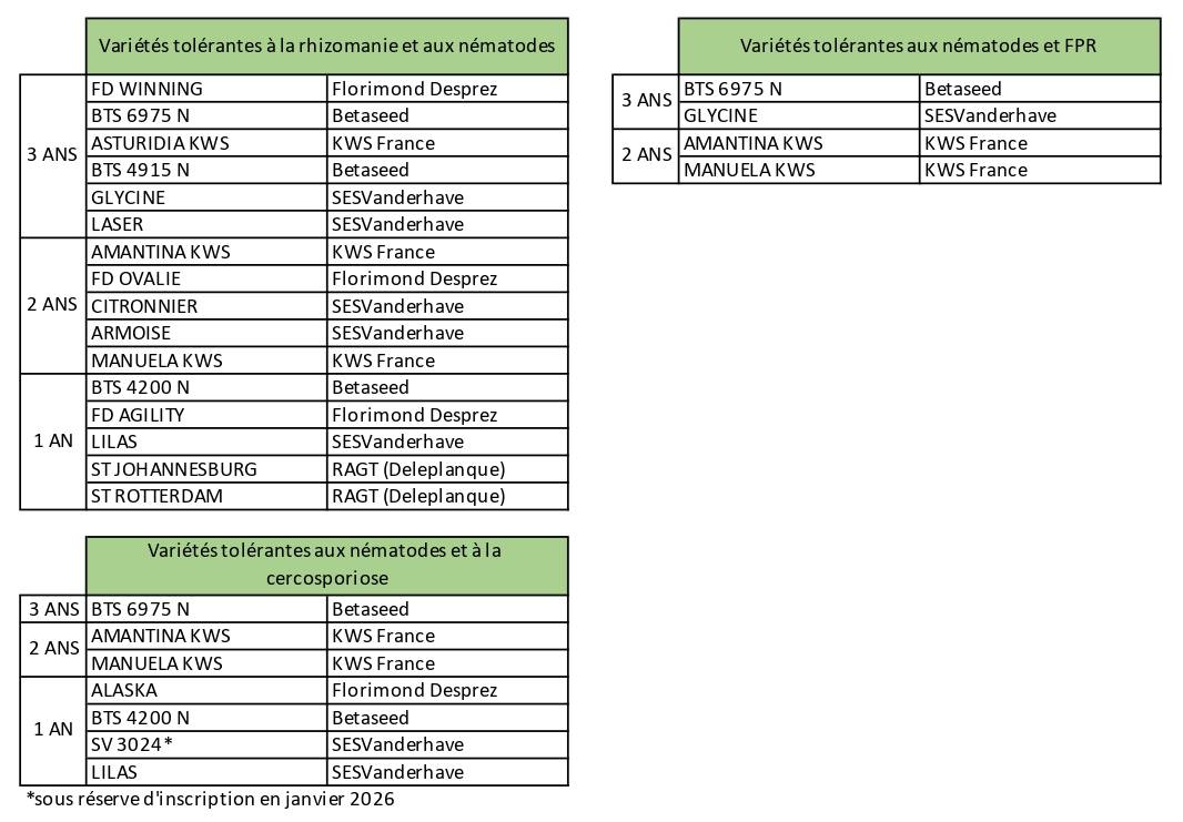 Variétés tolérantes à la rhizomanie et aux nématodes