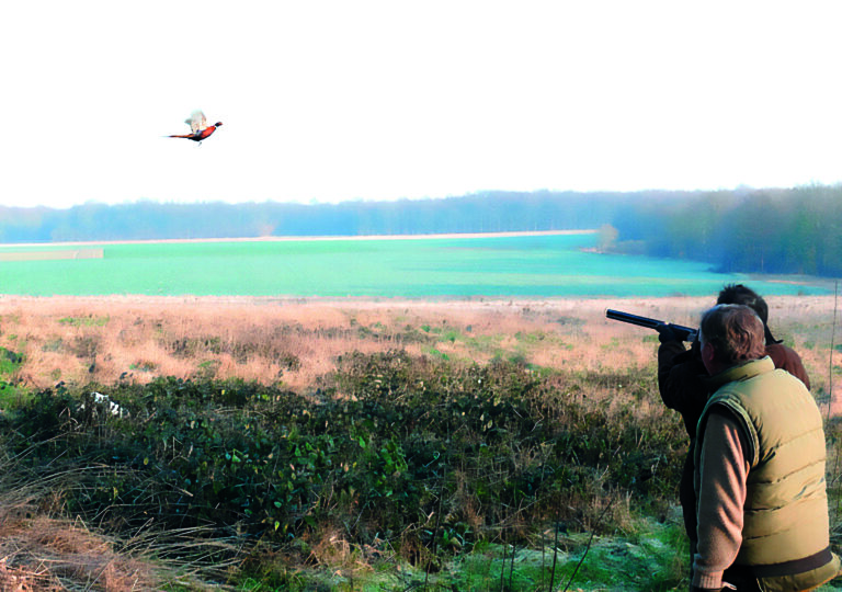 Un guide et son chien… Sinon rien