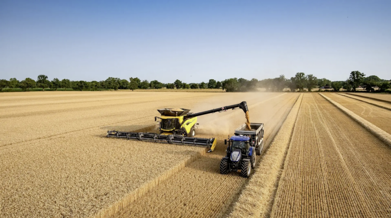 Du XXL dans les parcelles