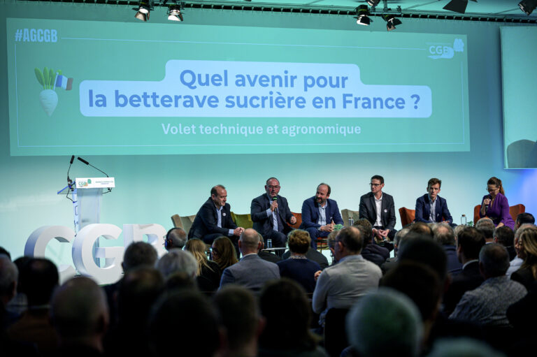 Face aux impasses techniques, la betterave attend l’acétamipride et la flupyradifurone