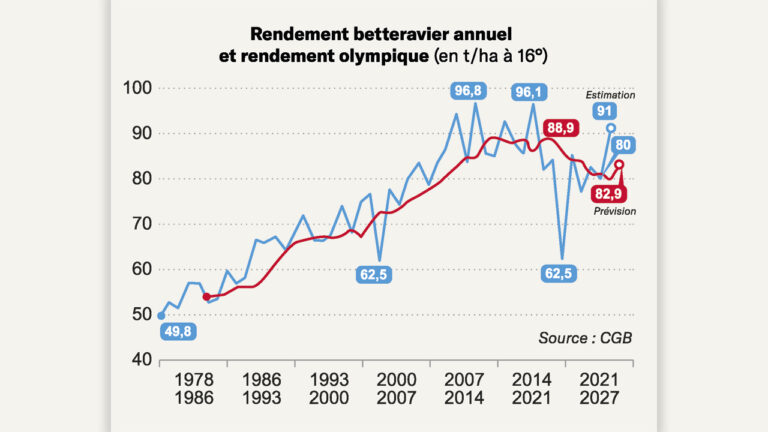 Bons rendements de betteraves dans un contexte morose