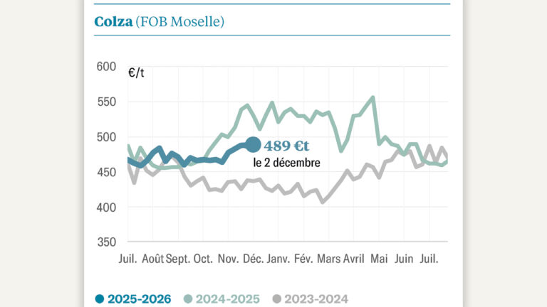 Une fin d’année sur des cours plus stables