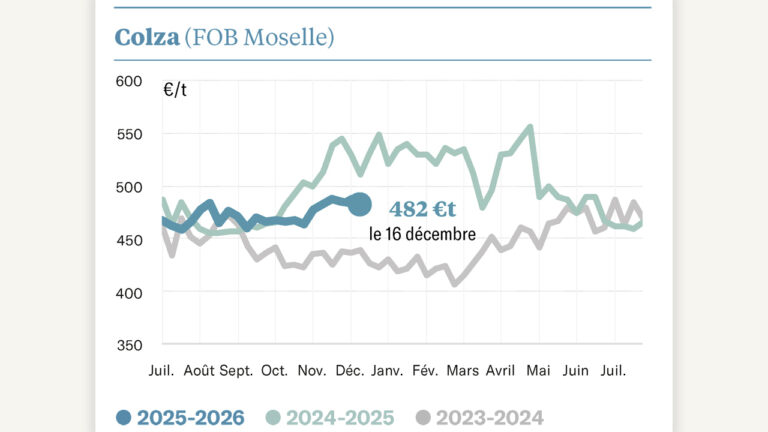 Les prix se tiennent à l’approche de la fin d’année