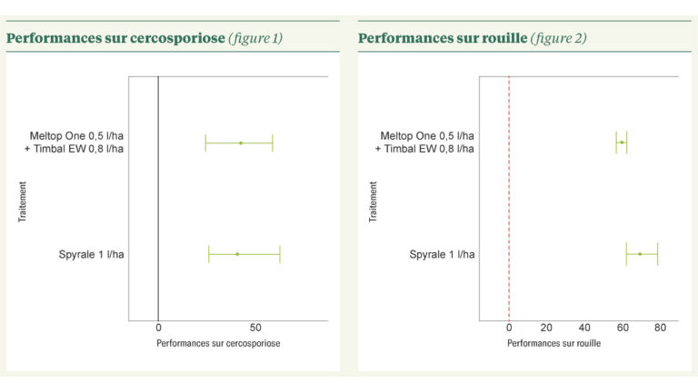Un nouveau fongicide utilisable pour 2026