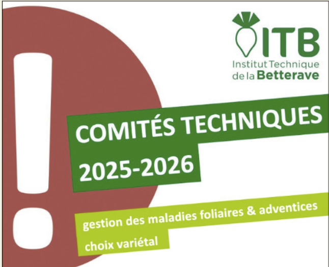 Assistez aux Comités techniques de l’ITB