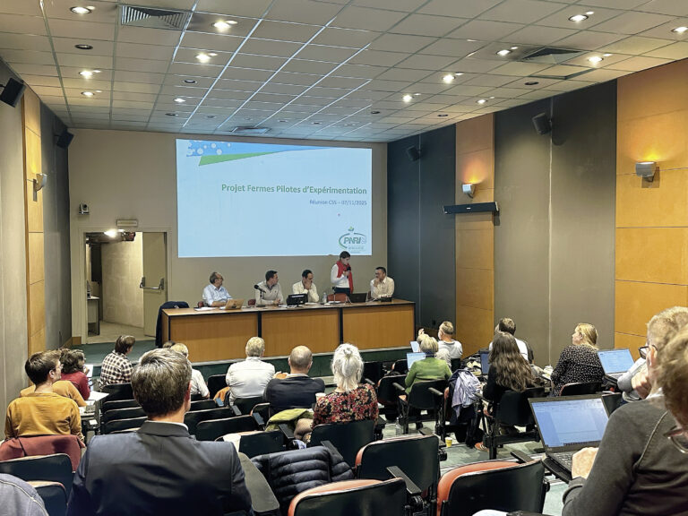 Lutte contre la jaunisse : bilan d’un séminaire axé sur les résultats de la recherche