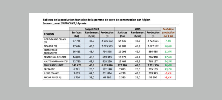 Une récolte record de pomme de terre