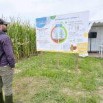 Biostimulants : les instituts techniques en attente de davantage de preuves