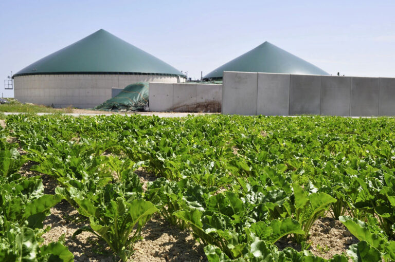 L’agriculture cherche sa place dans la production d’énergie