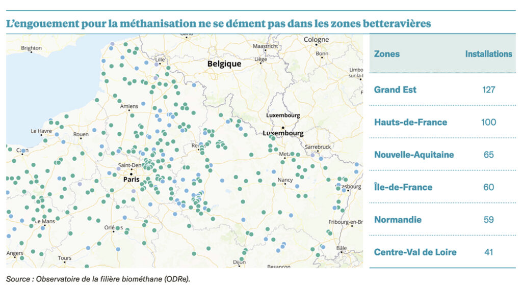 Un guide et son chien… Sinon rien