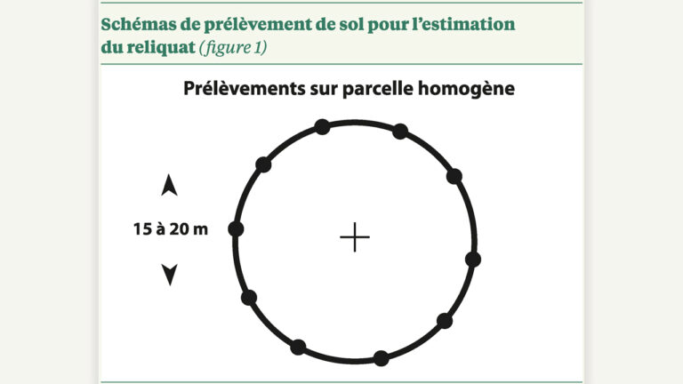 Azote : apporter la bonne dose au bon moment