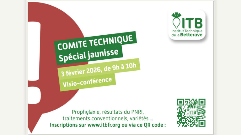 Comité technique spécial jaunisse de l’ITB