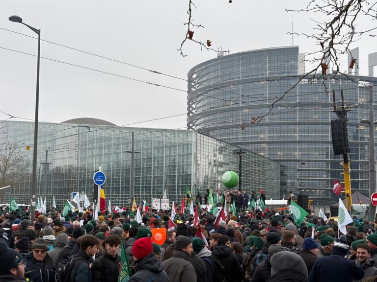 Le Parlement européen se prononce en faveur de la suspension de l’accord avec le Mercosur