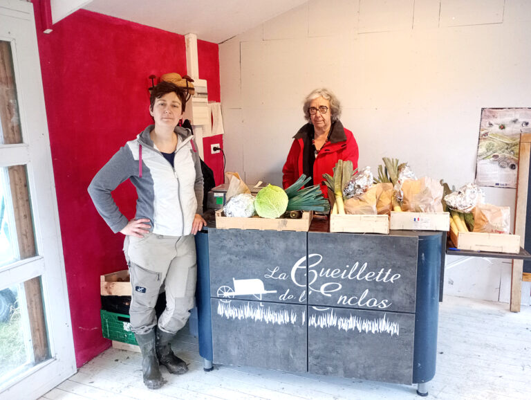 une diversification réussie dans le maraîchage