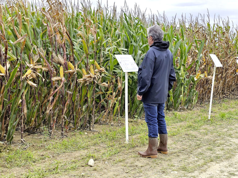 Des critères agronomiques aussi décisifs que le rendement