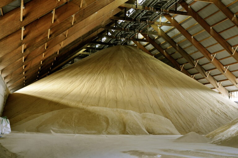 Le régime de perfectionnement actif sur le sucre bientôt suspendu