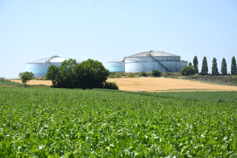 Campagne record pour les deux usines de Saint Louis Sucre