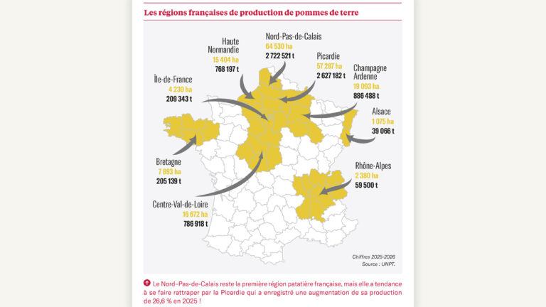 Une production de pommes de terre historiquement élevée