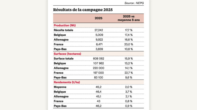 Toujours plus de pommes de terre en France et en Europe