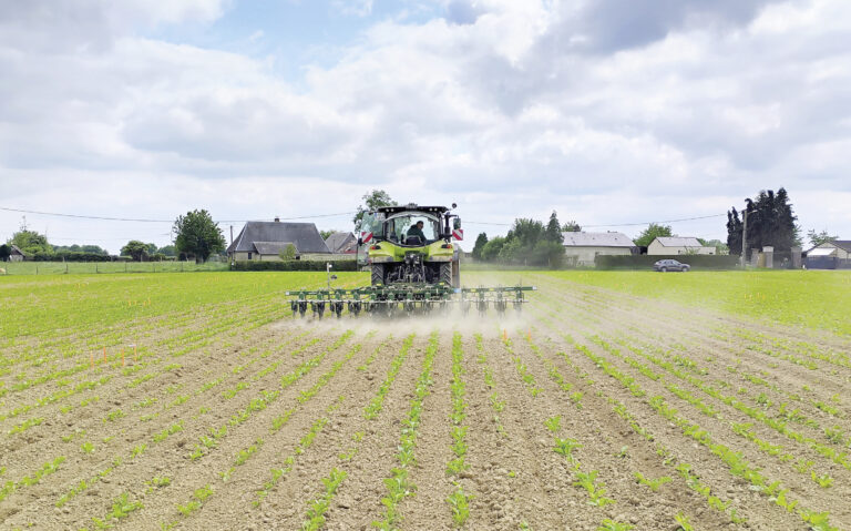 Lutter contre les graminées avec une approche combinatoire : le projet Gigan