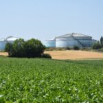 Campagne record pour les deux usines de Saint Louis Sucre 3 Campagne record pour les deux usines de Saint Louis Sucre