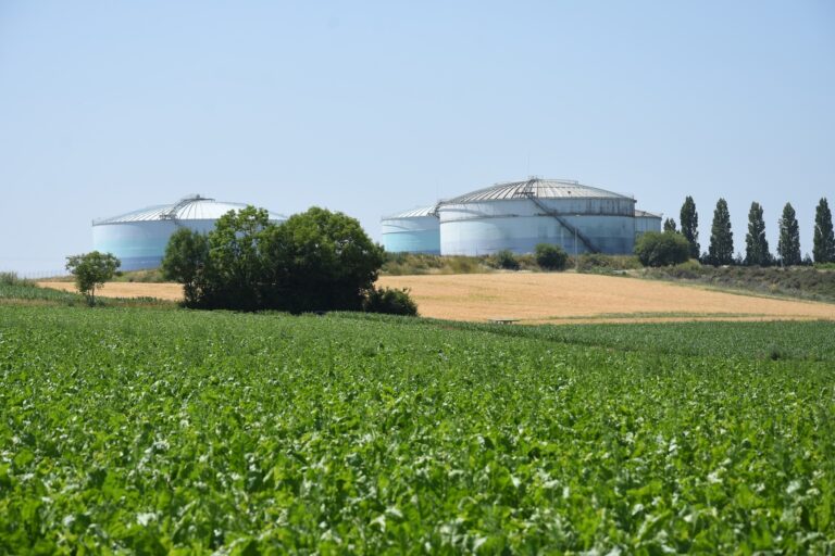 Campagne record pour les deux usines de Saint Louis Sucre