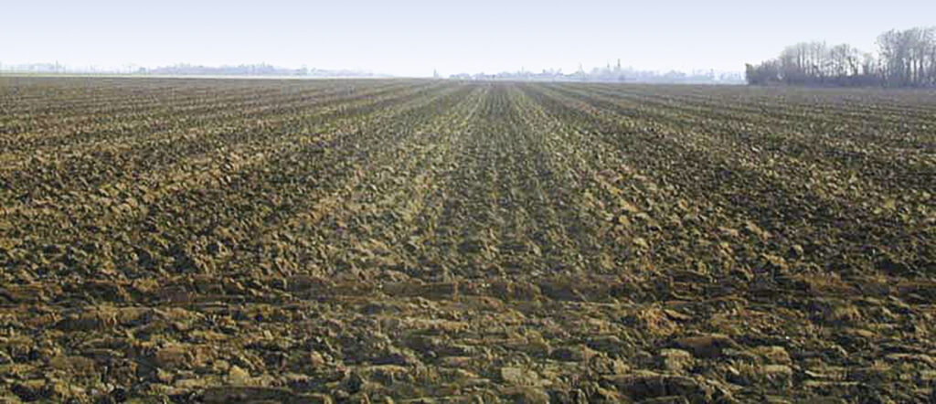 Au Japon, l’ours attaque