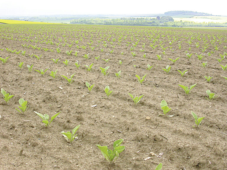 Retour sur les comités techniques