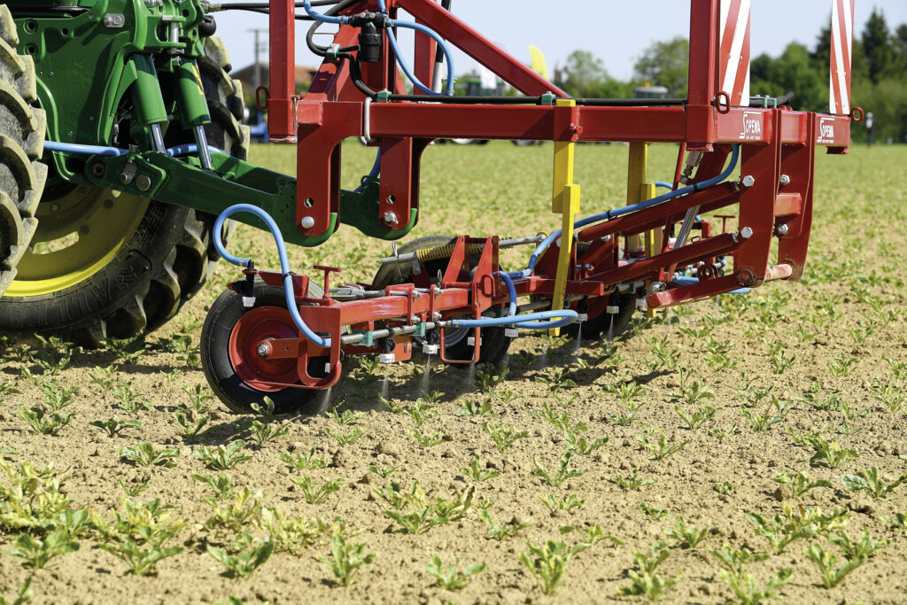 Sangliers : qui veut gagner un million ? 2 Sangliers : qui veut gagner un million ?