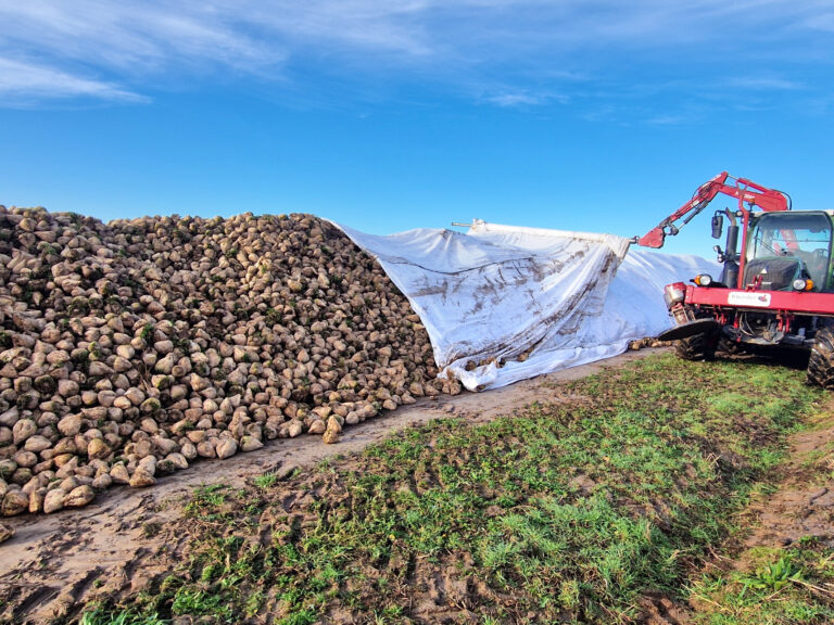 Toptex vante les atouts de l’agrotextile non tissé