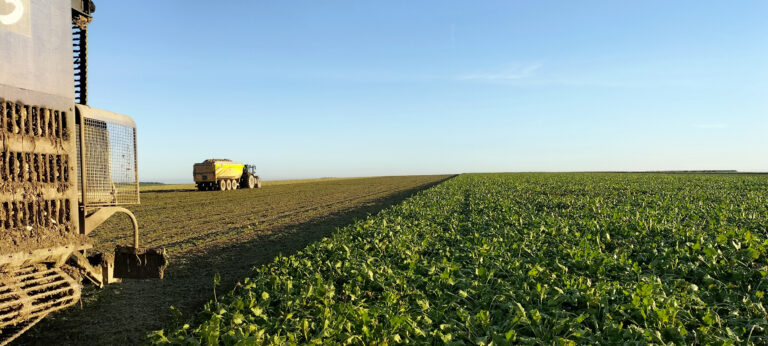 Une compétitivité qui relève du défi