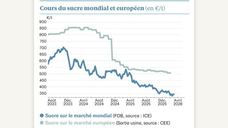 La spéculation sur le sucre atteint un niveau record