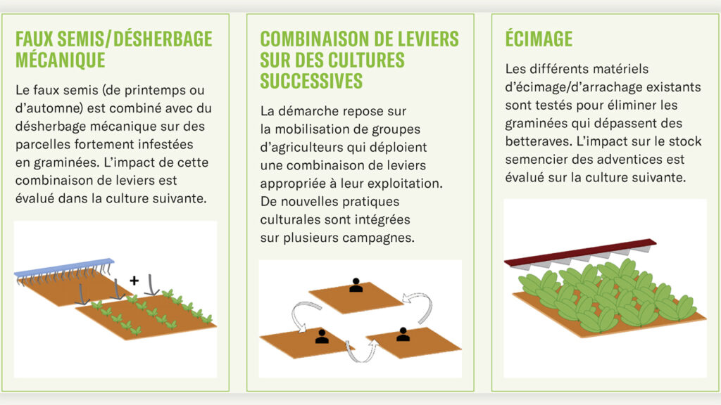 Sangliers : qui veut gagner un million ? 4 Sangliers : qui veut gagner un million ?