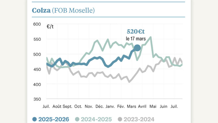L’envolée du pétrole fait bondir les cours à 500 €/t