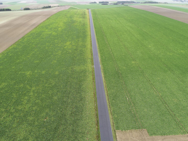 Risque jaunisse : ce que révèle l’enquête 2025