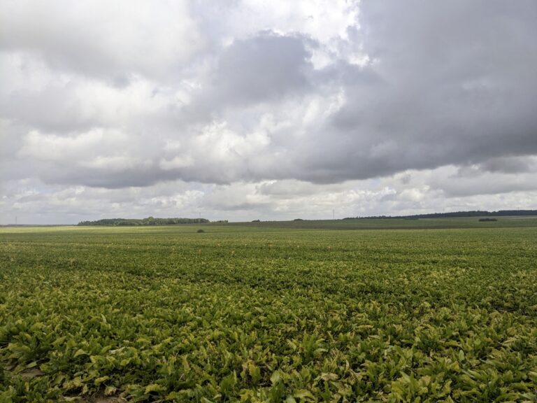 Le Movento obtient une dérogation jusqu’au 13 juillet