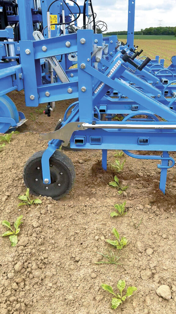 Sangliers : qui veut gagner un million ? 3 Sangliers : qui veut gagner un million ?