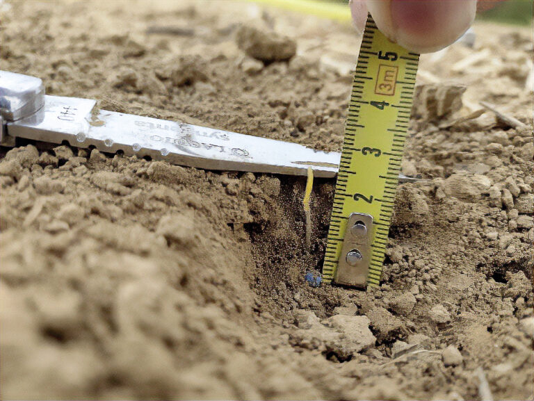 Les chiffres clés pour réussir son semis de betterave