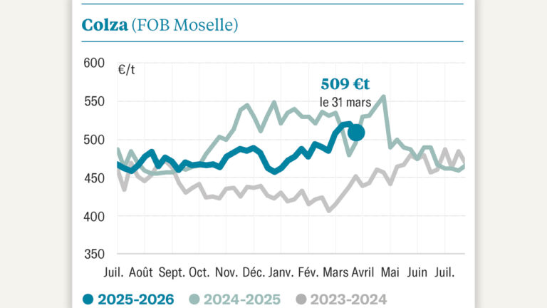 Les cours restent à des niveaux élevés