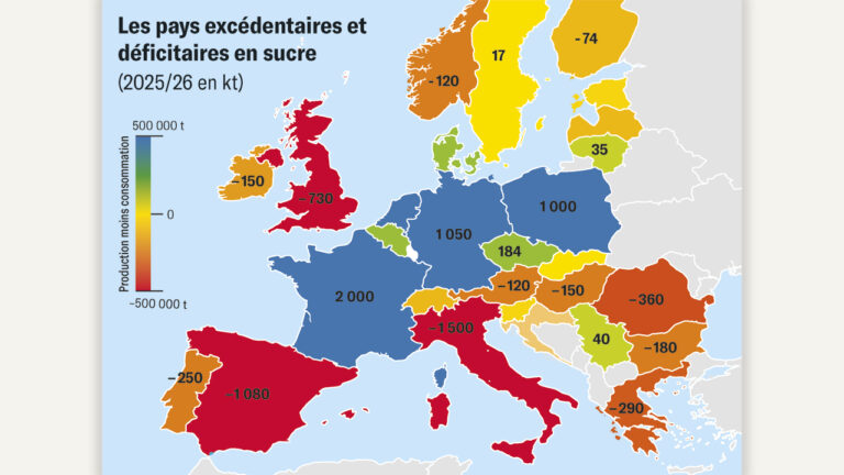 Sucre : la carte qui révèle les déséquilibres européens