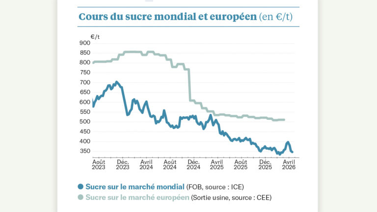 Sucre : quel yoyo !