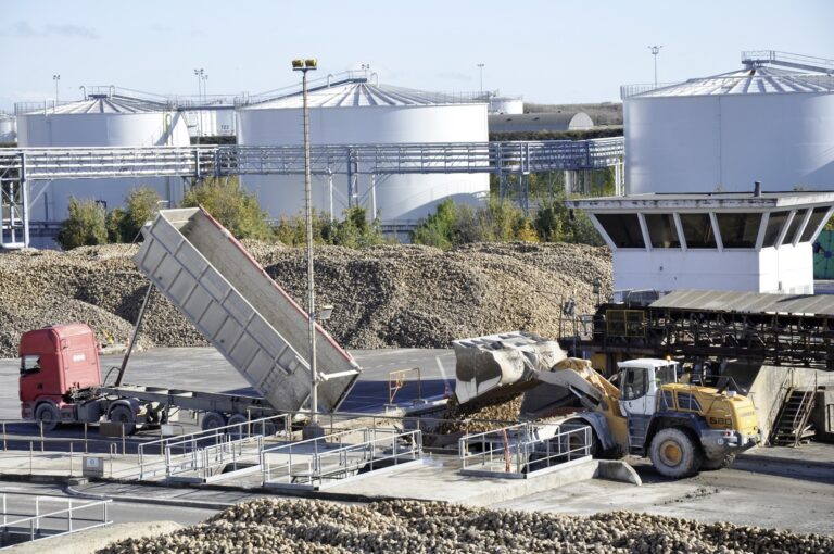 Cristal Union affiche des résultats positifs et paie la betterave au-dessus de 35 €/t