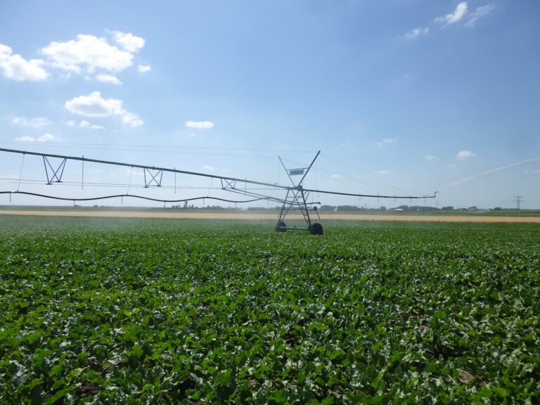La commission développement durable de l’Assemblée torpille le projet de loi d’urgence agricole