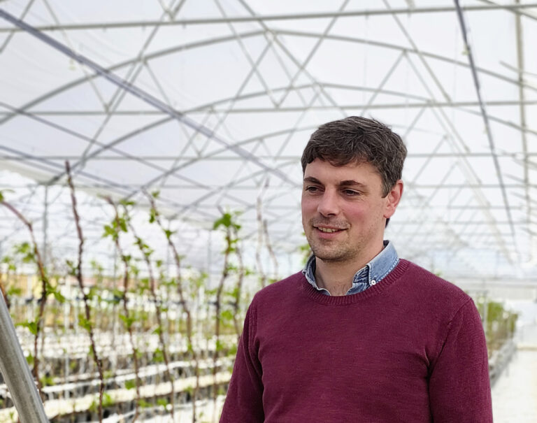 La framboise prend le relais