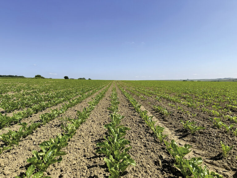 Les fermes pilotes d’expérimentation du PNRI-C en 2026