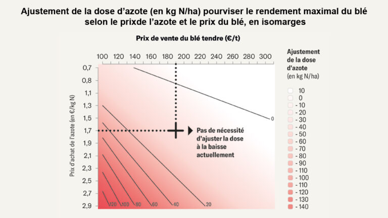 Rentabilité et fertilisation des céréales : ne pas jouer à l’apprenti sorcier